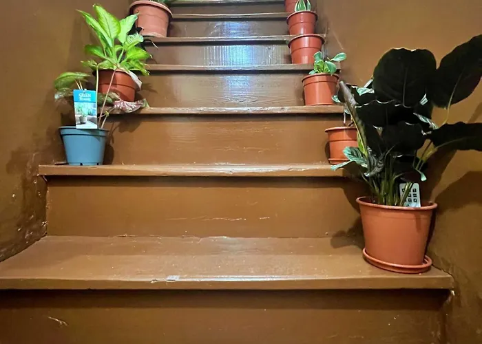 Aparthotel 1 Floor Centre Sulemange